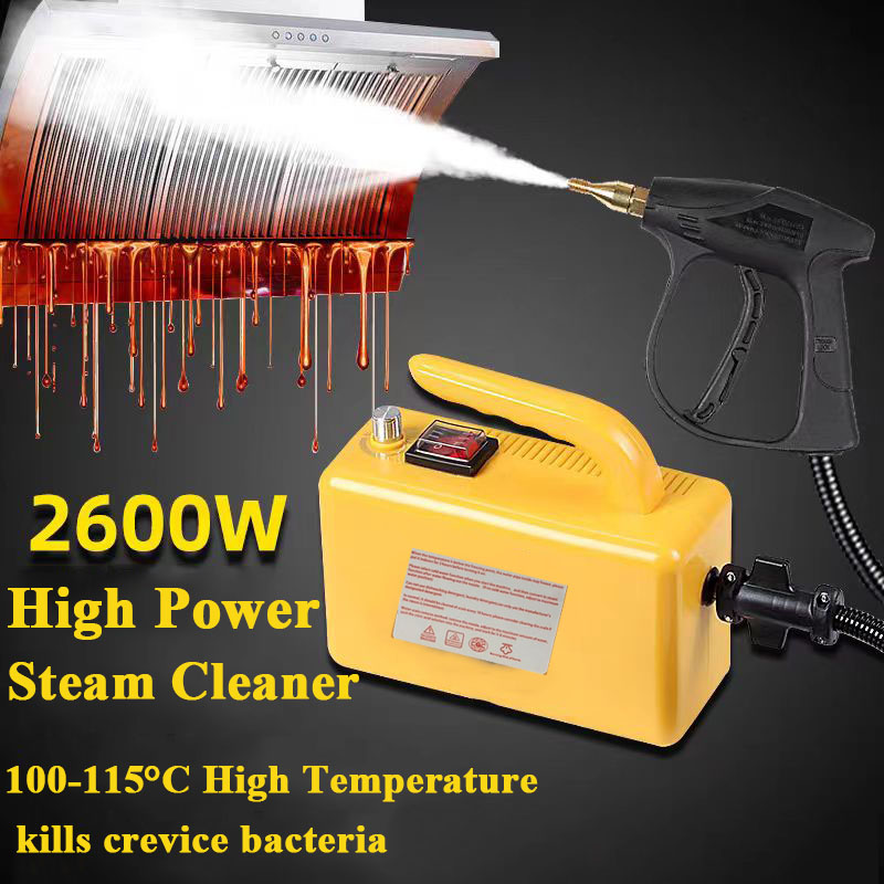 2600W Home Steam Cleaner High  – Commercial Kitchen Air Conditioner Bewertung und Preis