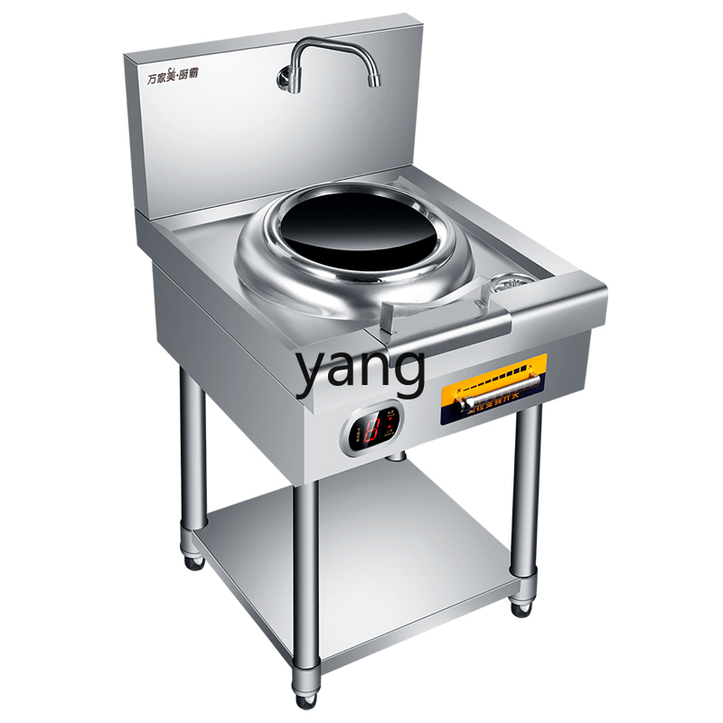 LH Commercial High-Power Induc – Induction Cooker Commercial Bewertung und Preis