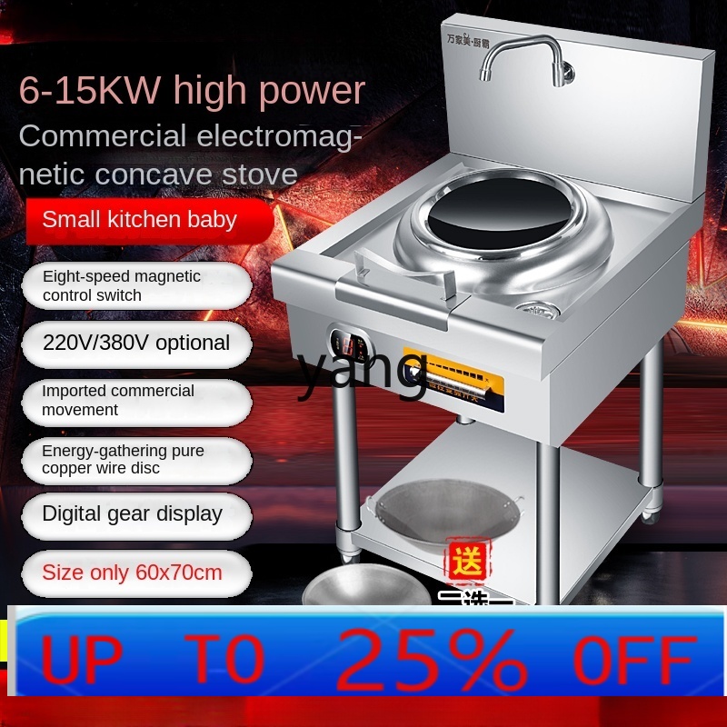LH Commercial High-Power Induc – Induction Cooker Commercial Bewertung und Preis